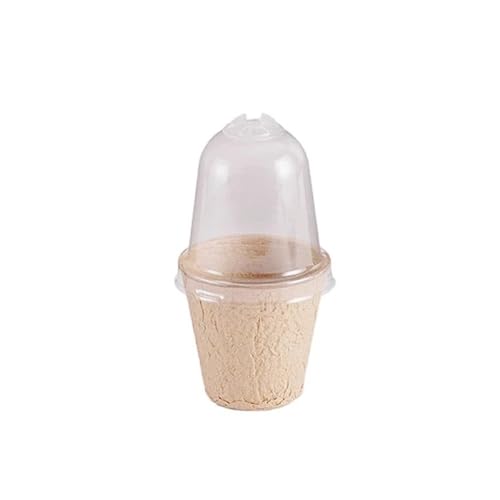 Terrarien für Blumenkübel Einweg Kindergarten Sämling Tasse Sämling Tablett Mit Deckel Sprießen Keimung Anbau Schüssel Anlage Flaschengarten(10PCS-8cm Round) von CQJJXKYC