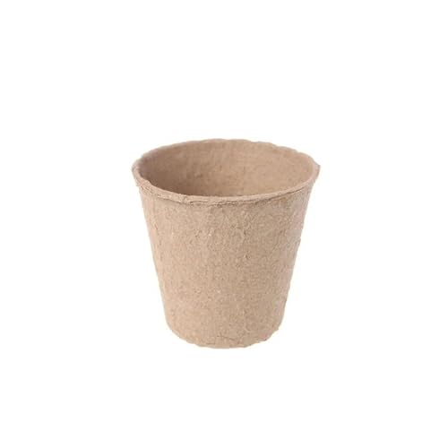 Terrarien für Blumenkübel Einweg Kindergarten Sämling Tasse Sämling Tablett Mit Deckel Sprießen Keimung Anbau Schüssel Anlage Flaschengarten(6cm Round) von CQJJXKYC