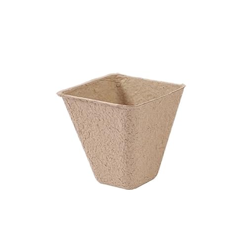 Terrarien für Blumenkübel Einweg Kindergarten Sämling Tasse Sämling Tablett Mit Deckel Sprießen Keimung Anbau Schüssel Anlage Flaschengarten(8cm Quadrate) von CQJJXKYC