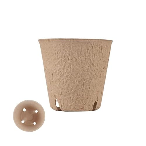 Terrarien für Blumenkübel Einweg Kindergarten Sämling Tasse Sämling Tablett Mit Deckel Sprießen Keimung Anbau Schüssel Anlage Flaschengarten(8cm with Holes) von CQJJXKYC