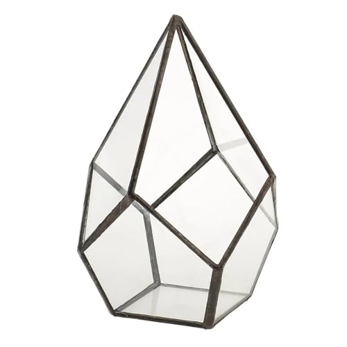 Terrarien für Blumenkübel Geometrische Form Glas Blumentopf Terrarium Box Moos Sukkulente Pflanze Display Fall Halter Flaschengarten Terrarien für Blumenkübel Geometrische Form Glas Blumentopf Terrarium Box Moos Sukkulente Pflanze Display Fall Halter Flaschengarten von CQJJXKYC