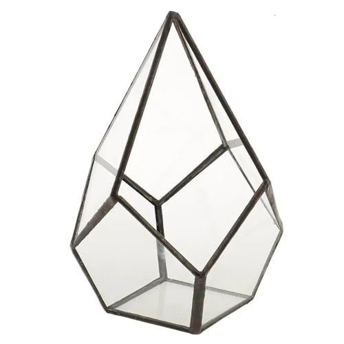 Terrarien für Blumenkübel Geometrische Form Glas Blumentopf Terrarium Box Moos Sukkulente Pflanze Display Fall Halter Flaschengarten von CQJJXKYC