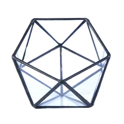Terrarien für Blumenkübel Glas Schmuck Aufbewahrung Modern Vintage Schwarz Geometrisch Klar Terrarium Indoor Sukkulenten Übertopf Display Flaschengarten(B) von CQJJXKYC