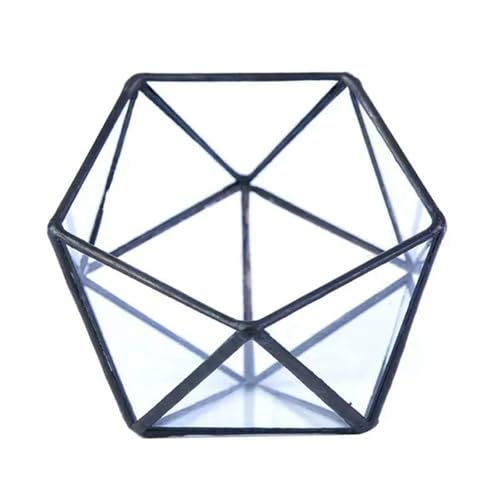 Terrarien für Blumenkübel Gold geometrische Terrarium Pflanzer Pentagon Container Moderne Dekor Flaschengarten(B) von CQJJXKYC