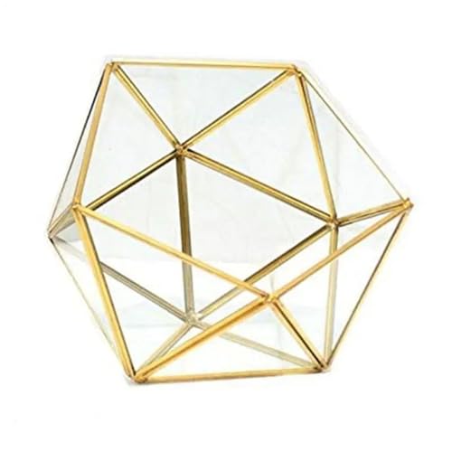 Terrarien für Blumenkübel Gold geometrische Terrarium Pflanzer Pentagon Container Moderne Dekor Flaschengarten(K) von CQJJXKYC
