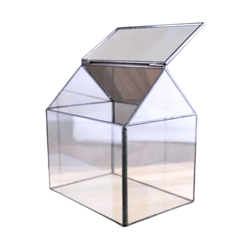 Terrarien für Blumenkübel Hausgarten Glas Pflanzer öffnen Terrarium Box Farn Moos Pflanze Vitrine Topf Flaschengarten von CQJJXKYC
