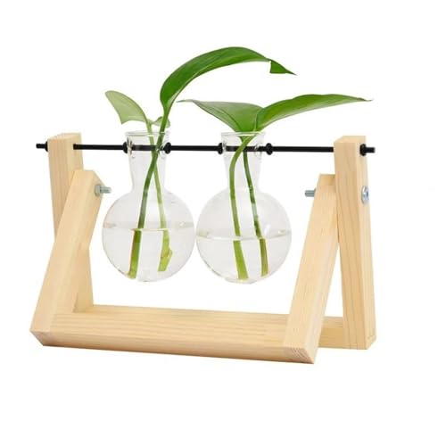 Terrarien für Blumenkübel Hydrokultur Pflanzen Vasen Glas Vase Vintage Bonsai Blumentopf Terrarium Tabletop Tablett Holz Rahmen Home Decor Flaschengarten(2 Bottles of logs) von CQJJXKYC