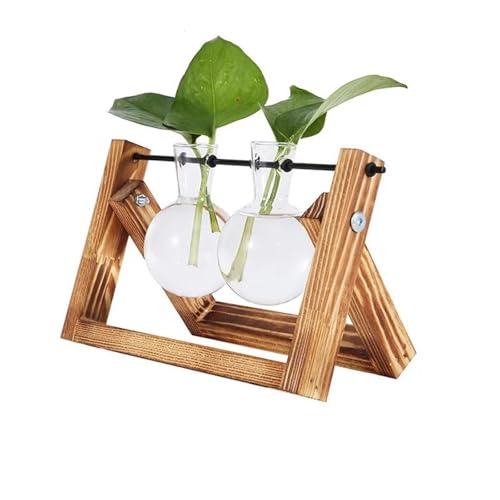 Terrarien für Blumenkübel Hydrokultur Pflanzen Vasen Glas Vase Vintage Bonsai Blumentopf Terrarium Tabletop Tablett Holz Rahmen Home Decor Flaschengarten(Flame Flame 2 Bottles) von CQJJXKYC