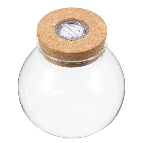 Terrarien für Blumenkübel Micro Landschaft Ökologische Flasche Terrarium Moos Anlage Container Fisch Tank Pflanzer Wohnkultur Glas Flaschengarten(S) von CQJJXKYC