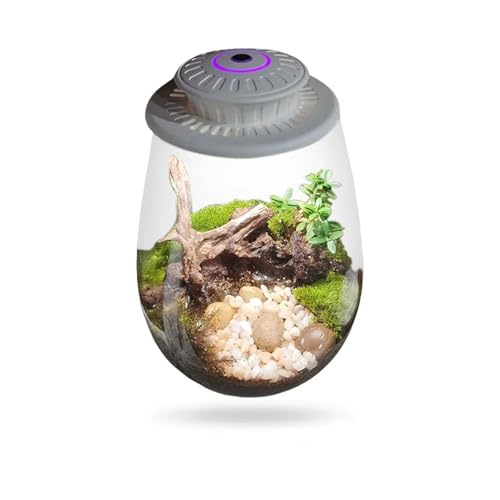 Terrarien für Blumenkübel Mikro-Landschaftsglasflasche mit Wachstumslicht, saftiges Moos, Landschaftsglasterrarium für den Hausgarten Flaschengarten(White M) von CQJJXKYC