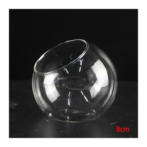 Terrarien für Blumenkübel Mikro-Landschaftsvase aus Glas, Sukkulenten-Terrarium, Behälter, Blumentöpfe, Mikro-Landschaftsvase aus schrägem Glas Flaschengarten(A) von CQJJXKYC