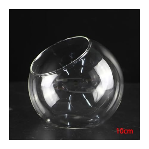 Terrarien für Blumenkübel Mikro-Landschaftsvase aus Glas, Sukkulenten-Terrarium, Behälter, Blumentöpfe, Mikro-Landschaftsvase aus schrägem Glas Flaschengarten(B) von CQJJXKYC