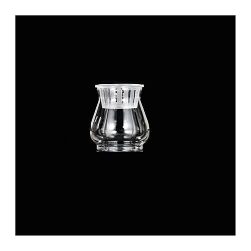 Terrarien für Blumenkübel Mini Hydrokultur Blumentopf Aquarium Transparent Kunststoff Soilless Pflanzentöpfe Pflanztopf Flaschengarten(A) von CQJJXKYC