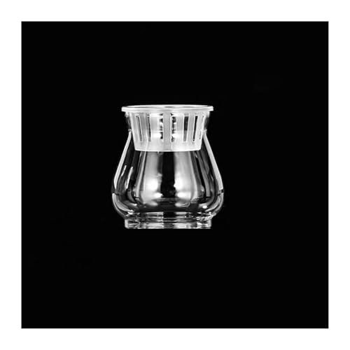 Terrarien für Blumenkübel Mini Hydrokultur Blumentopf Aquarium Transparent Kunststoff Soilless Pflanzentöpfe Pflanztopf Flaschengarten(B) von CQJJXKYC