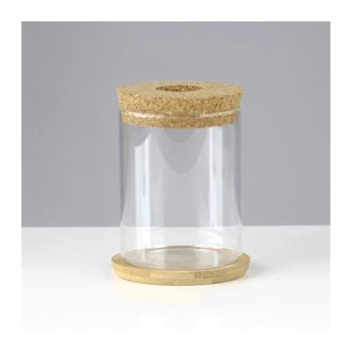 Terrarien für Blumenkübel Mini Hydrokultur Blumentopf Glas Pflanze Vase Transparent Terrarium Glas Tabletop Pflanzen Töpfe Flaschengarten von CQJJXKYC
