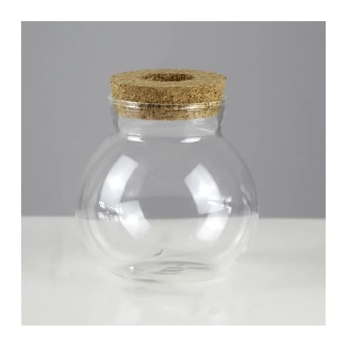 Terrarien für Blumenkübel Mini Hydrokultur Blumentopf Transparent Glas Soilless Anlage Vase Terrarium Vintage Wohnzimmer Hause Flaschengarten(A) von CQJJXKYC