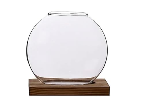 Terrarien für Blumenkübel Packung mit runden Glasterrarien mit Holzständer zur Anzucht, kleinen Hydrokulturpflanzen, Dekoration für das Homeoffice Flaschengarten von CQJJXKYC
