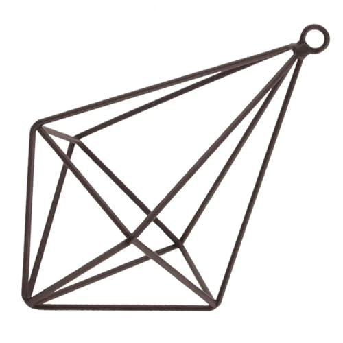 Terrarien für Blumenkübel Pflanzenständer aus Metall, Luftpflanzenhalter, geometrisches Glasterrarium, Pflanzenvermehrungsstation mit Eisenständer Flaschengarten(B,B) von CQJJXKYC
