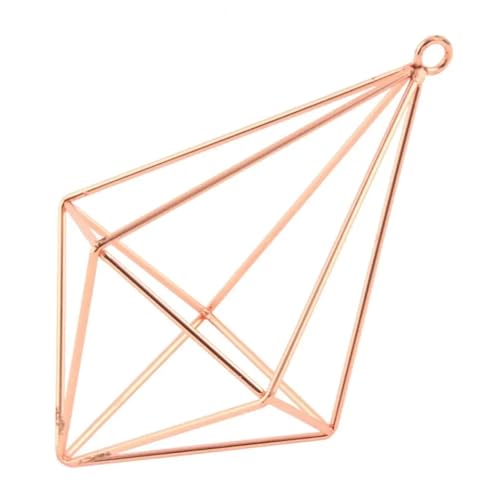 Terrarien für Blumenkübel Pflanzenständer aus Metall, Luftpflanzenhalter, geometrisches Glasterrarium, Pflanzenvermehrungsstation mit Eisenständer Flaschengarten(Rose Gold,B) von CQJJXKYC