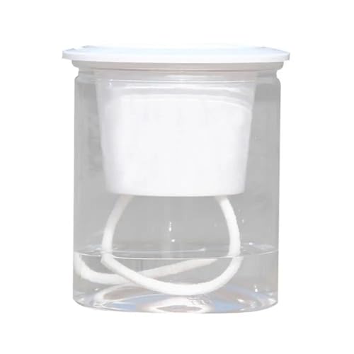 Terrarien für Blumenkübel Selbstbewässernder Blumentopf, transparent, automatischer Hydrokultur-Pflanztopf, selbstbewässernder Blumentopf mit Wassertank Flaschengarten(M) von CQJJXKYC
