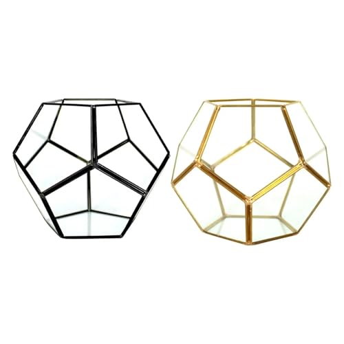 Terrarien für Blumenkübel Sukkulenten, geometrisches Terrarium, Sukkulenten für die Tischdekoration im Innen- und Außenbereich Flaschengarten von CQJJXKYC