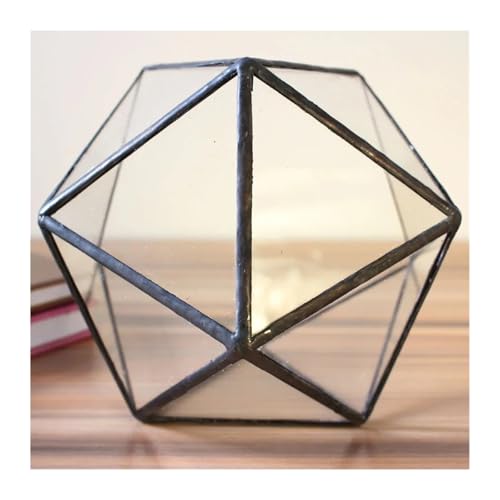 Terrarien für Blumenkübel Sukkulenten Farn Moos BlumentopfAirPlantPlanterBoxFairyGardenPolyeder Glas geometrische Terrarium Bonsai Flaschengarten(10X10X9.5CM) von CQJJXKYC
