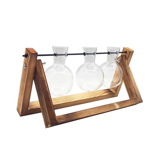 Terrarien für Blumenkübel Terrarium Hydrokultur Anlage Transparent Vase Holz Rahmen Vase Decoratio Glas Tabletop Pflanze Bonsai Decor Flaschengarten(28.5x16cm) von CQJJXKYC