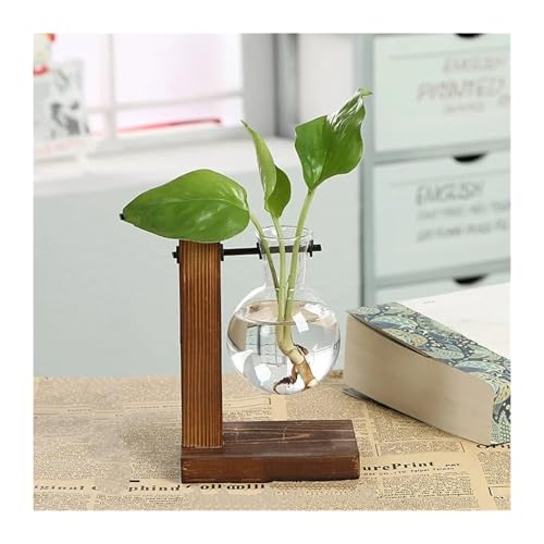 Terrarien für Blumenkübel Terrarium Hydrokultur Anlage Transparent Vase Holz Rahmen Vase Decoratio Glas Tabletop Pflanze Bonsai Decor Flaschengarten(Type A) von CQJJXKYC