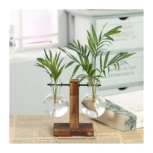Terrarien für Blumenkübel Terrarium Hydrokultur Anlage Transparent Vase Holz Rahmen Vase Decoratio Glas Tabletop Pflanze Bonsai Decor Flaschengarten(Type B) von CQJJXKYC