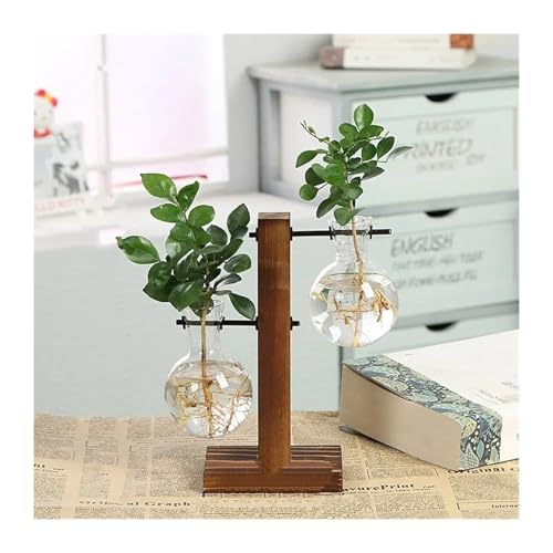 Terrarien für Blumenkübel Terrarium Hydrokultur Anlage Transparent Vase Holz Rahmen Vase Decoratio Glas Tabletop Pflanze Bonsai Decor Flaschengarten(Type C) von CQJJXKYC