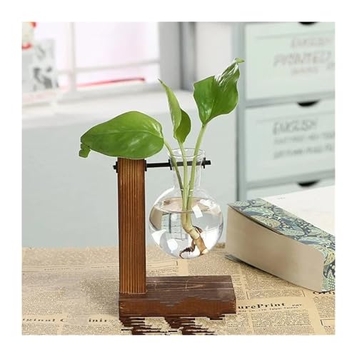 Terrarien für Blumenkübel Terrarium Hydrokultur Pflanze transparente Vase Holzrahmen Vase DecoratioTabletop Pflanze Dekor Blumenvase Flaschengarten(Type A) von CQJJXKYC