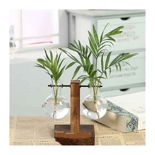 Terrarien für Blumenkübel Terrarium Hydrokultur Pflanze transparente Vase Holzrahmen Vase DecoratioTabletop Pflanze Dekor Blumenvase Flaschengarten(Type B) von CQJJXKYC