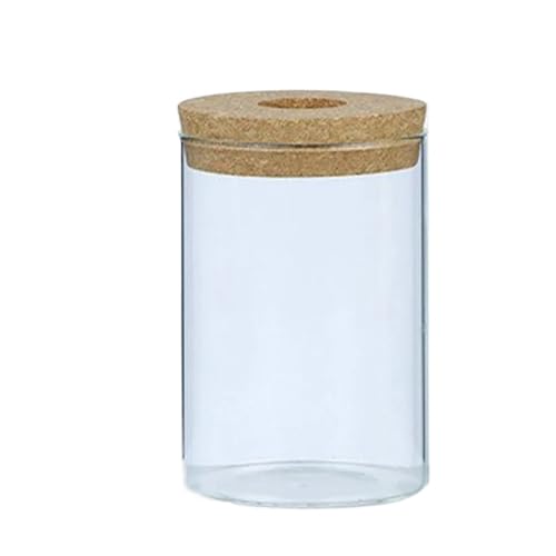 Terrarien für Blumenkübel Transparent Hydrokultur Blumentopf Home Office Desktop Grün Pflanzen Blume Topf Blume Container Flaschengarten von CQJJXKYC