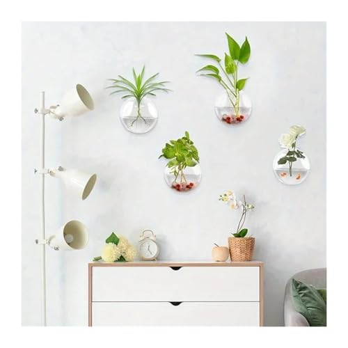 Terrarien für Blumenkübel Transparente Glasvase für Aufhängen an der Wand, Hydrokultur-Terrarium, Fischtanks, Topfpflanze, Blumentopf, Durchmesser 8 cm/10 cm/12 cm Flaschengarten(10cm) von CQJJXKYC