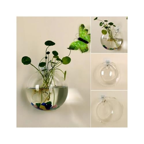 Terrarien für Blumenkübel Transparente Glasvase für Aufhängen an der Wand, Hydrokultur-Terrarium, Fischtanks, Topfpflanze, Blumentopf, Durchmesser 8 cm/10 cm/12 cm Flaschengarten(8cm) von CQJJXKYC