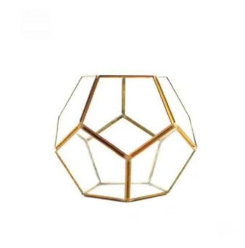 Terrarien für Blumenkübel Verschiedene unregelmäßige geometrische Glas Sukkulenten Pflanzer Vase Terrarium Container Tischplatte Topf DIY Home Office Flaschengarten(10) von CQJJXKYC