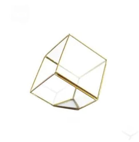 Terrarien für Blumenkübel Verschiedene unregelmäßige geometrische Glas Sukkulenten Pflanzer Vase Terrarium Container Tischplatte Topf DIY Home Office Flaschengarten(2) von CQJJXKYC