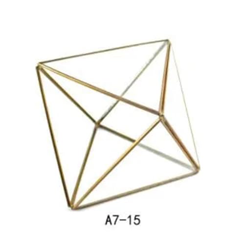Terrarien für Blumenkübel Verschiedene unregelmäßige geometrische Glas Sukkulenten Pflanzer Vase Terrarium Container Tischplatte Topf DIY Home Office Flaschengarten(5) von CQJJXKYC