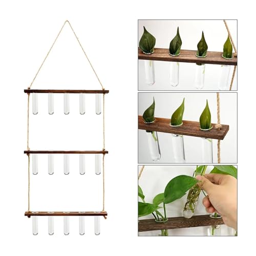 Terrarien für Blumenkübel Wandbehang Pflanzgefäß Terrarium 3-stufige Pflanzenvermehrung 15 klare Reagenzgläser und Holzständer Retro Mini Test Flaschengarten Terrarien für Blumenkübel Wandbehang Pflanzgefäß Terrarium 3-stufige Pflanzenvermehrung 15 klare Reagenzgläser und Holzständer Retro Mini Test Flaschengarten von CQJJXKYC