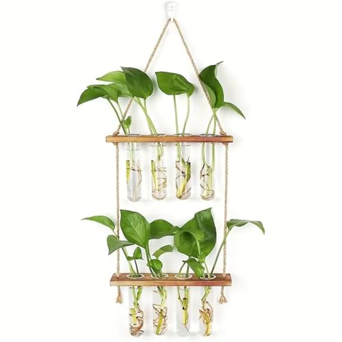 Terrarien für Blumenkübel Wandbehang-Vermehrungsstation mit abgestuften Pflanzgefäßen aus Glas, Wandterrarium für den Pflanzenaufhänger im Homeoffice Flaschengarten Terrarien für Blumenkübel Wandbehang-Vermehrungsstation mit abgestuften Pflanzgefäßen aus Glas, Wandterrarium für den Pflanzenaufhänger im Homeoffice Flaschengarten von CQJJXKYC