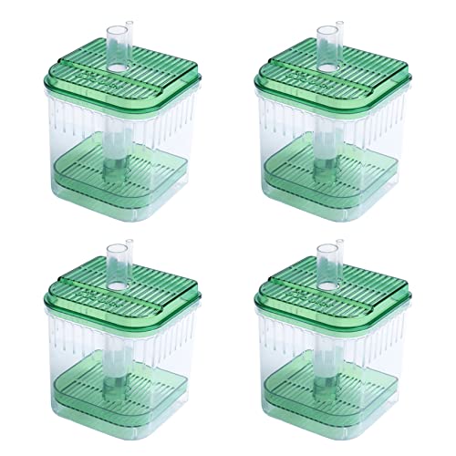 CRAKES 4 x quadratische Kunststoffbox für Aquarium, quadratisch, grün, transparent von CRAKES