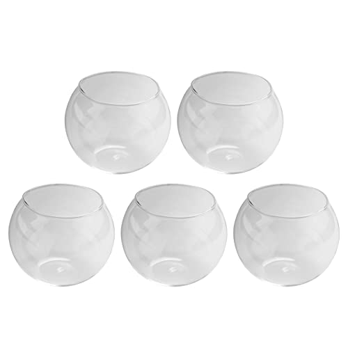 CRAKES 5 x runde aus transparentem Glas für Aquarien von CRAKES
