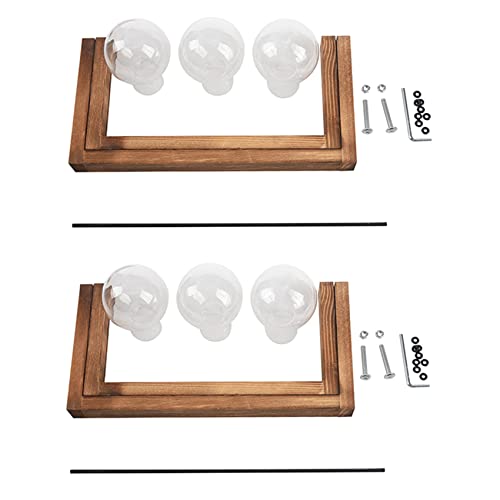 CRAKES Pflanzenterrarium mit Holzständer, Glasvasenhalter für Scindapsus Container (6 Terrarien) von CRAKES