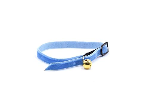 CRAZY FAMILY SHOP Halsband für Katzen, aus weichem und strapazierfähigem Samt mit Anti-Strang-Gummizug und Glocke vergoldet (Hellblau) von CRAZY FAMILY SHOP