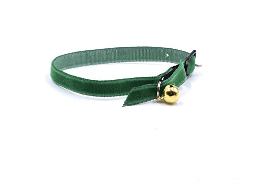 CRAZY FAMILY SHOP Halsband für Katzen, aus weichem und strapazierfähigem Samt mit Anti-Strang-Gummizug und Glocke vergoldet (grün) von CRAZY FAMILY SHOP