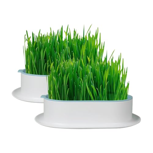 Katzengras-Anzuchtset, 2 Stück Katzengras-Anzuchtset, 2 Stück von CRAZY LEDI