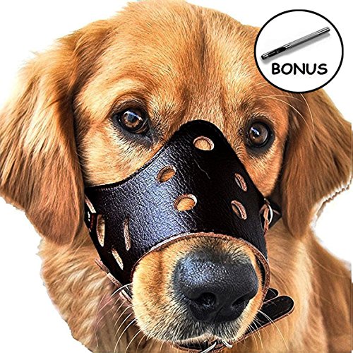 Einstellbare Anti-beißenden Hund Maulkorb Leder, Breathable Sicherheit Haustier Hund Maulkorb Maske für Bissig und Barking (L, Schwarz) von CRAZYBOY