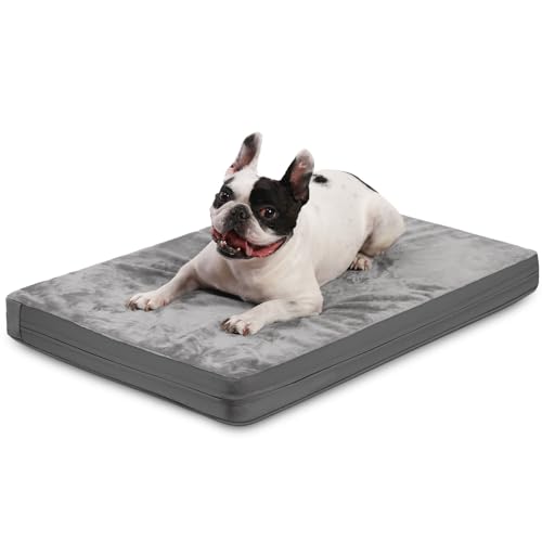 CREASION Doppelseitiges Hundebett, für alle Jahreszeiten, bissfest, Leder, für Herbst und Winter, abnehmbares Waschlappen, Hundebetten unter 25 kg, Grau, 89,9 cm CREASION Doppelseitiges Hundebett, für alle Jahreszeiten, bissfest, Leder, für Herbst und Winter, abnehmbares Waschlappen, Hundebetten unter 25 kg, Grau, 89,9 cm von CREASION