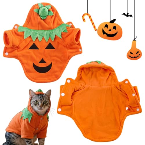 CRGANGZY Halloween-Kürbiskopf Haustierkostüm, niedliches Katzen- und Hundetransformations-Outfit for Herbst/Winter, kreative -Party-Dekorationen for Halloween (2XL) von CRGANGZY