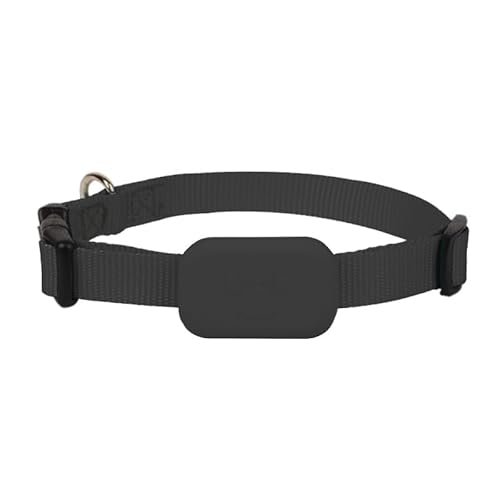 CRGANGZY Hunde-Tracker GPS, Marktführer Haustier-Tracker for Hunde und Katzen, Echtzeit-Ortung von iOS-Tracking-Haustieren, Tier-Tracking-Bewegungsalarm, verstellbares Halsband CRGANGZY Hunde-Tracker GPS, Marktführer Haustier-Tracker for Hunde und Katzen, Echtzeit-Ortung von iOS-Tracking-Haustieren, Tier-Tracking-Bewegungsalarm, verstellbares Halsband von CRGANGZY